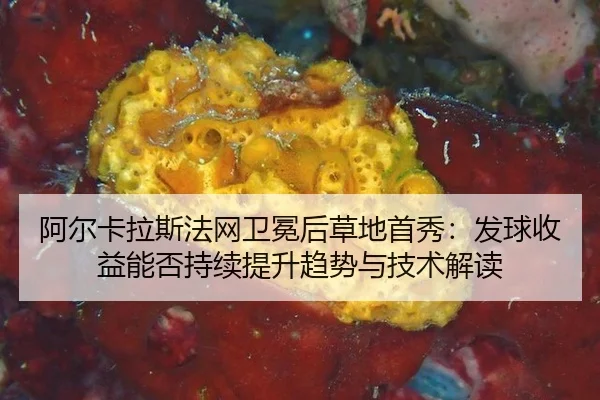 a-er-ka-la-si-fa-wang-wei-mian-hou-cao-di-shou-xiu-fa-qiu-shou-yi-neng-fou-chi-xu-ti-sheng-qu-shi-yu-ji-shu-jie-du-2-591.jpg